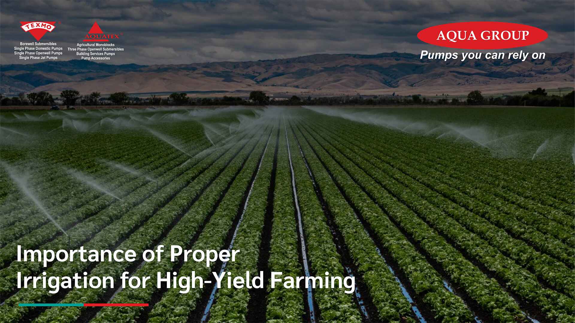 Importance of Proper Irrigation for High-Yield Farming